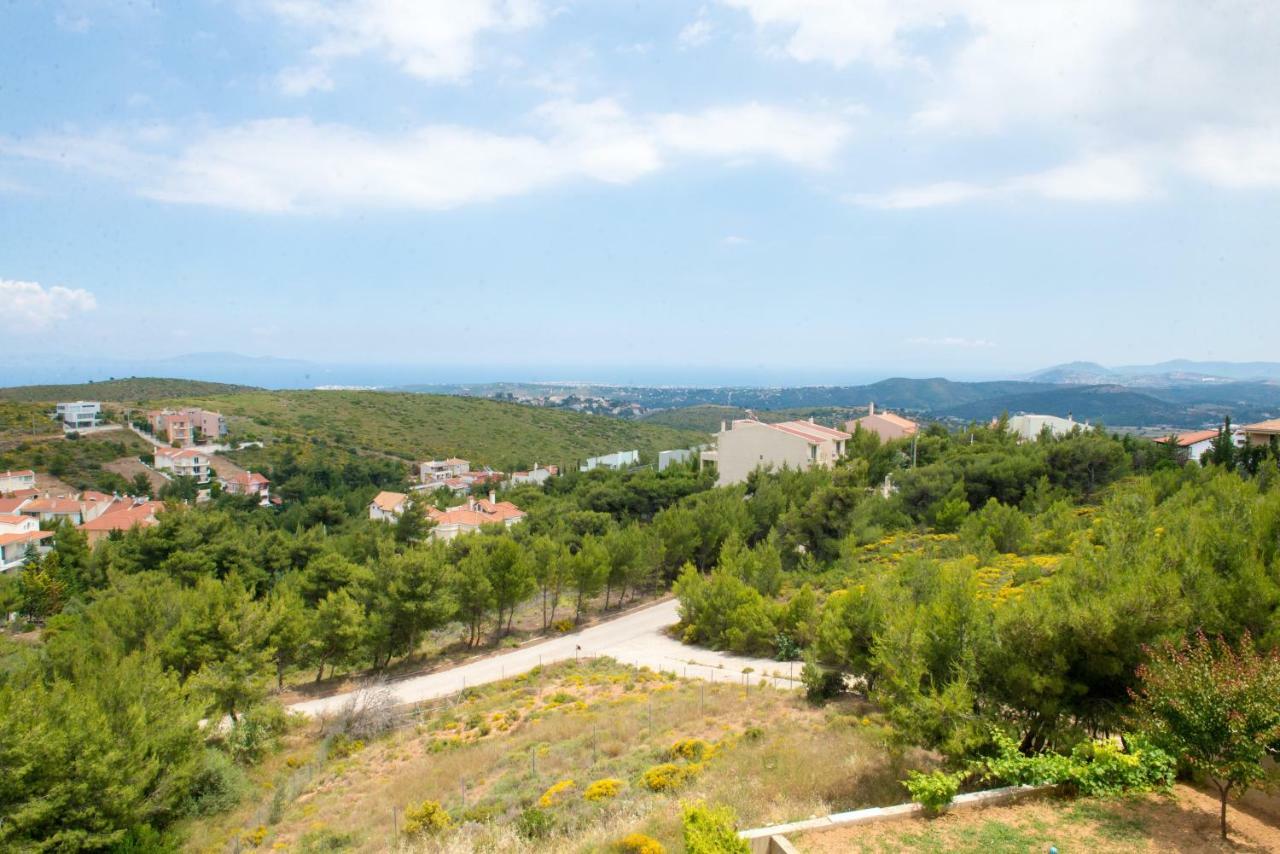 Villa Olympia Vip Dráfi Kültér fotó